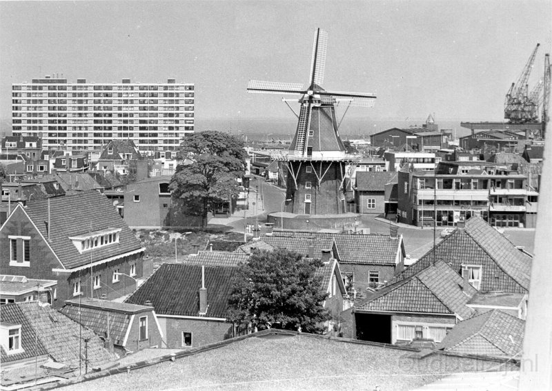 Molenbergplein.jpg