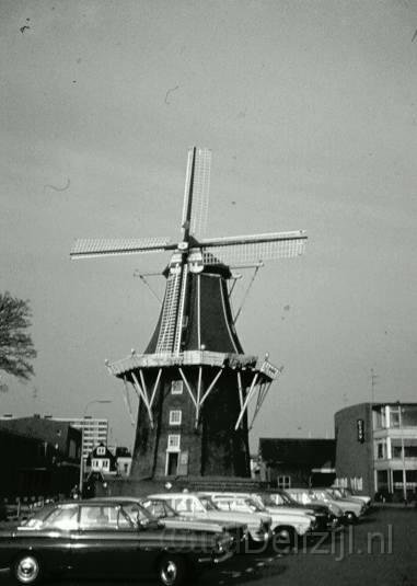 d.7.JPG